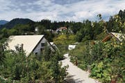 Grün dominiert im «Glamping Garden Village» in Bled. (Bild: Samuel Koch)