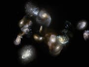 Eso publizierte anlässlich des Entdeckung dieses künstlerische Nachahmung des Galaxiehaufens. (Bild: KEYSTONE/EPA European Southern Observatory/ESO/ALMA/MILLER HANDO)