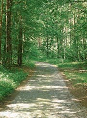 Mecklenburg ist ein Wanderparadies, besonders um den Malchiner See. (Bild: Andreas Z’Graggen)