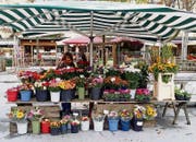 Auf dem steirischen Bauernmarkt neben der Oper von Graz werden Blumen verkauft. (Bild: Karte oas)