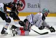 Luganos Tristan Vauclair gegen Zugs Janick Steinmann. (Bild EQ)
