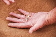 Auf geführten Touren entdeckt man in Swakopmund den Wüstengecko. (Bild: Natalie Ehrenzweig)