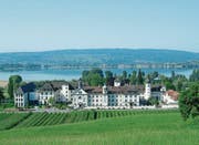 Eingebettet in eine intakte Natur: die Klosteranlage am Seeufer in Hegne. (Bild: PD)
