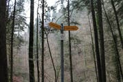 Wanderung 16.11.2017 (Bild: Simon Roth)