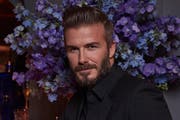 David Beckham (Bild: Bang Showbiz Entertainment)