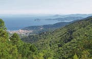 Elba gehört zum Naturpark «Toskanischer Archipel», der 1996 gegründet wurde. Heute stehen 53 Prozent der Insel unter Schutz. (Bild: Mauro Piccardi/Fotolia)