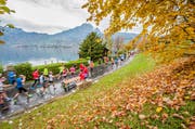 Läufer auf der Horwer Halbinsel am 9. Swiss City Marathon Lucerne 2015. (Bild: Roger Grütter / LZ)
