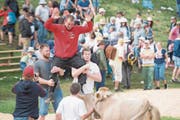 Sven Schurtenberger (25): Beim tragischen Schlussgang vor drei Wochen auf der Rigi ging Schurtenbergers erster Bergkranzfestsieg fast ein wenig unter. Das Potenzial des Schwingers aus Buttisholz ist unbestritten – er hat schon die Besten gestellt. Regelmässig erreicht er aber erst im Verlauf des Fests Betriebstemperatur. Siegt er zum Auftakt gegen Orlik, liegt alles drin. (cza) (Bild: URS FLUEELER (KEYSTONE))