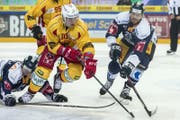 Zugs Dominic Lammer, links, und Zugs Viktor Stalberg, rechts, gegen Langnaus Ville Koistinen. (Bild: Alexandra Wey/Keystone (Zug, 20. Oktober 2017))