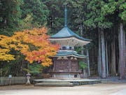Teil der Tempelanlage in Koyosan. Auf diesem Berg gründete der 30-jährige Mönch Kukai im Jahr 804 den Shingon-Buddhismus. Eine Million Pilger kommen jedes Jahr hierher.