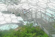Nur für gute Nerven ist die schwingende Aussichtsplattform des Eden Project. (Bild: Geraldine Friedrich)