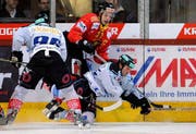 Brunner (l.) und DiPietro (r.) kämpfen gegen den Langnauer Sutter um den Puck. (Bild Keystone)