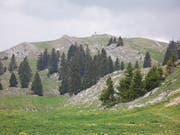 Sicht auf den 1697 Meter hohen Mont Tendre. (Bild: Melchior Rudenz)