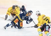Zugs Garrett Roe fällt zwischen den Bernern Beat Gerber (rechts) und Leonardo Genoni zu Boden. (Bild: Urs Flüeler/Keystone (Zug, 30. September 2017))
