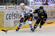 Er trifft endlich wieder: Jarkko Immonen (links), hier im Duell mit Fribourgs Marc Abplanalp. (Bild: Christian Pfander/freshfocus)