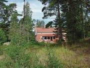 Ferienhaus mitten im Wald. (Bild: Monika Neidhart)