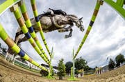Am Mittwoch beginnen in Dagmersellen die Pferdesporttage des Kavallerie- und Reitvereins Oberwiggertal. (Bild: Archiv LZ)