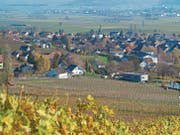 Hallau – ein schmuckes Dorf am Fuss seiner Weinberge. (Bild: Urs Bader)