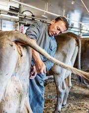 Mit einem Veterinärverbund wollten die Ostschweizer Kantone Kräfte bündeln und Kosten senken. (Bild: Gaëtan Bally/Keystone)