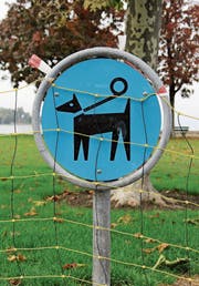 Schilder weisen auf die Leinenpflicht am Seeufer hin.