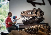 Das Naturmuseum will unmittelbare Besuchererlebnisse für alle Generationen schaffen. (Bild: Michel Canonica)