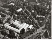 Bild: Olma-Archiv