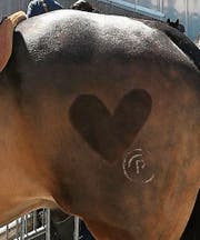 Liebe – ins Fell rasiert. (Bild: Elisabeth Reisp)