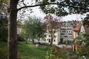 Der Haldenhof vor Beginn der Abbrucharbeiten: Im Hintergrund das Haus Haldenstrasse 7/9. Davor stand einst die Remise Haldenstrasse 7A, die als frühe Disco-Lokalität und als Kunstatelier Furore machte. Inmitten der grünen Oase stand zudem das kleine Mehrfamilienhaus Haldenhof 6. Es und die Remise wurden schon vor Jahren wegen Baufälligkeit abgebrochen. (Bild: Ralph Ribi - 15. Oktober 2014)