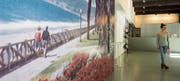 Geranien wurden im 17. Jahrhundert von holländischen Kolonialisten nach Europa importiert. Sie wachsen auch auf der Fototapete in der Kunsthalle St. Gallen. (Bild: Hanspeter Schiess)