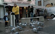 Mitte der Nullerjahre sorgten sich Gewerbler in der Innenstadt wegen einer Taubenplage. (Bild: Ralph Ribi (30. Dezember 2005))