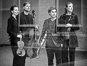 Mitreissender Klang: Das Signum Quartett. (Bild: pd)