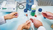 Das Amt für Verbraucherschutz und Veterinärwesen des Kantons St. Gallen hat im vergangenen Jahr 103 Fleischproben überprüft. (Bild: Urs Bucher)