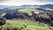 Unterhalb des Wehres soll die Hängebrücke über die Sitter führen. (Bild: Hanspeter Schiess)