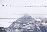 Hochspannungsleitung in Bad Ragaz. Bei eisigen Temperaturen steigt auch der Stromverbrauch. (Bild: ARNO BALZARINI (KEYSTONE))