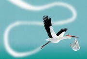 Illustration: Patric Sandri (Bild: Illustration: Patric Sandri)