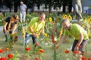 An der Arbeit: St.Galler Brunnen wurden am frühen Mittwochmorgen verschönert. (Bild: pd/Andrea Kobler)