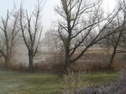 Blick von der Bildweiherstrasse her ins Areal des Naturschutzgebietes. (Bild: Franz Blöchlinger)