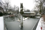 Der Wasservogelweiher in der winterlichen Voliere im Stadtpark. (Bild: Hannes Thalmann)