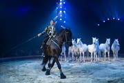 Ivan Frederic Knie und seine Pferde. (Bild: Melanie Duchene/KY)