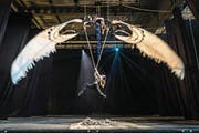Noch ohne Kostüm und Profi-Beleuchtung: Jenny Ritchie und Marula Eugster (am Seil) proben die Szene «Big Bird». (Bild: Hanspeter Schiess)