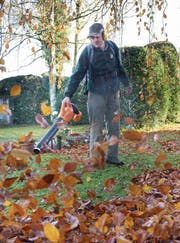Auf dem Friedhof Feldli wird das Laub nur noch mit Elektrogeräten weggeblasen. (Bild: Urs Bucher)