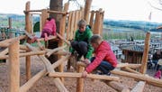 Von Baum zu Baum: Die Kinder freuen sich an den neuen Klettermöglichkeiten. (Bild: Barbara Hettich)
