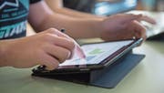 Die Lehrlinge gehen nicht leer aus: Die Regierung hat neu auch die Berufsbildung in die geplante IT-Offensive integriert. (Bild: Pius Amrein)