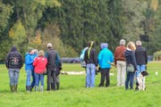 Interessiert verfolgen die Zuschauer die Meisterschaft der Hütehunde. (Bild: Daniela Ebinger)