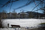 Die Sömmerliwiese im St.Galler Quartier Lachen wird mit dem 1. April von der Bau- in die Grünzone umgeteilt. Dies ist die Folge der Opposition im Quartier gegen einen Neubau für die Tagesbetreuung von Schulkindern auf der Freifläche: Das städtische Stimmvolk hat die deswegen lancierte Auszonungsinitiative vor einem Jahr gutgeheissen. (Bild: Ralph Ribi)