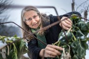 Luzia Steiner in ihrem Gemüsegarten in Abtwil. (Bild: Michel Canonica)