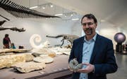Museumsdirektor Toni Bürgin zeigt einen Ammoniten aus der Sammlung des Naturmuseums. (Bild: Sabrina Stübi)