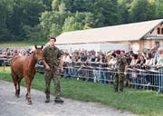 In Schönbühl bei Bern wurden am 17. August die Pferde aus Hefenhofen verkauft. (Bild: Anthony Anex/KEY)