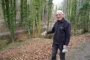 An diesem Abhang fand Waldbesitzer Manfred Hunziker am Donnerstag den Teppich, in den eine weibliche Leiche eingerollt war. (Bild: Mario Testa)