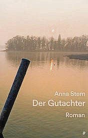 Anna Stern: Der Gutachter. Roman. Salis Verlag 2016. 253 S., Fr. 31.90